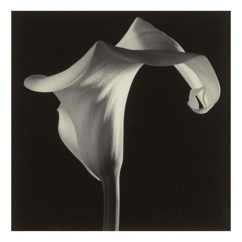 Friday Listening: May 20, 2022